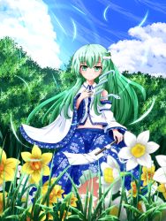 Rule 34 | 1girl, absurdres, bad id, bad pixiv id, blue sky, cloud, day, ddfftasogare, detached sleeves, floral print, flower, forest, frog hair ornament, gohei, grass, green eyes, green hair, hair ornament, hand on own chest, highres, kochiya sanae, lens flare, long hair, looking at viewer, matching hair/eyes, midriff, nature, navel, oonusa, outdoors, petals, sky, smile, snake hair ornament, solo, tasogare (ddfftasogare), touhou