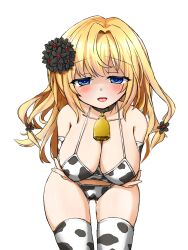 Rule 34 | 1girl, altea aquila (jain no ikenie), animal print, bell, blonde hair, blue eyes, blush, breasts, cow print, cow print bikini, cowbell, flower, hair flower, hair ornament, highres, jain no ikenie, kneehighs, large breasts, leaning forward, long hair, looking at viewer, open mouth, pompurinpurin, print bikini, pussy juice, shaded face, simple background, socks, solo, tongue, tongue out, white background