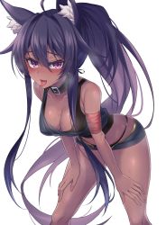 Rule 34 | 1girl, :d, ahoge, animal ear fluff, animal ears, bare arms, bare shoulders, bent over, black choker, black hair, black panties, black shirt, blouse, borrowed character, breasts, brown kemomimi-chan (krr), choker, cleavage, crop top, dark-skinned female, dark skin, gold trim, hands on own thighs, heavy breathing, highres, jingo, long hair, looking at viewer, medium breasts, micro shorts, midriff, open fly, open mouth, original, panties, ponytail, purple eyes, shirt, shorts, simple background, sleeveless, sleeveless shirt, smile, solo, standing, string panties, sweat, thighs, tongue, tongue out, underwear, very long hair, white background