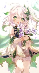 Rule 34 | 1girl, bare shoulders, bloomers, blush, detached sleeves, dress, flower, genshin impact, green eyes, green hair, green sleeves, hair between eyes, hair ornament, highres, holding, holding flower, long hair, looking at viewer, multicolored hair, nahida (genshin impact), open mouth, petals, pointy ears, ponytail, rono (iwant ab), side ponytail, simple background, sleeveless, sleeveless dress, solo, underwear, white bloomers, white dress, white flower, white hair