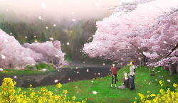 Rule 34 | 71 (nanaichi drafting), cherry blossoms, drunk, flower, forest, glasses, grass, lake, nature, petals, scenery, sitting, tree