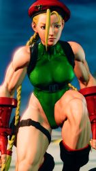 Rule 34 | 1girl, 3d, absurdres, antenna hair, bare shoulders, blonde hair, blue eyes, braid, breasts, cammy white, clenched hand, covered navel, curvy, full body, gloves, green leotard, hat, highleg, highleg leotard, highres, kneeling, leotard, lips, long hair, looking away, medium breasts, red gloves, red hat, ryona, screencap, shiny clothes, sky, solo, street fighter, street fighter v, thighs, third-party edit, thong leotard, twin braids, very long hair, wide hips