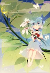 Rule 34 | 1girl, absurdres, barefoot, blue dress, blue eyes, blue hair, blurry, bug, butterfly, choker, cirno, dress, fairy wings, flower, full body, gradient background, hair ribbon, highres, insect, kimey, leaf, looking at viewer, matching hair/eyes, open mouth, ribbon, short hair, short sleeves, sitting, solo, touhou, wings