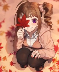 Rule 34 | 1girl, ahoge, autumn, autumn leaves, black pantyhose, blunt bangs, blurry, blurry background, blush, breasts, brown cardigan, brown footwear, brown hair, brown jacket, brown pantyhose, brown scrunchie, brown skirt, buttons, cardigan, collared shirt, commentary request, covering one eye, day, depth of field, dress shirt, drill hair, fingernails, full body, grin, hair ornament, hair scrunchie, hand on own knee, hand up, highres, holding, holding leaf, hood, hood down, hooded jacket, idolmaster, idolmaster million live!, jacket, kamille (vcx68), leaf, light particles, long sleeves, looking at viewer, maple leaf, medium breasts, medium hair, miniskirt, nail polish, open clothes, open jacket, outdoors, pantyhose, purple eyes, red nails, scrunchie, shadow, shirt, shoes, side ponytail, sidelocks, skirt, sleeves past wrists, smile, solo, squatting, white shirt, yokoyama nao