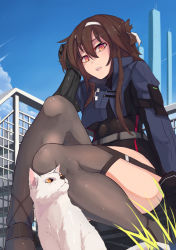 Rule 34 | 1girl, animal ears, ao homura, arm support, armband, bad id, bad pixiv id, belt, black leotard, blue jacket, blue sky, brown hair, building, cat, cat ears, cloud, cropped jacket, day, from below, garter straps, girls&#039; frontline, grass, head rest, headband, jacket, knee up, knees, legs, leotard, looking at viewer, mechanical parts, open mouth, orange eyes, outdoors, prosthesis, prosthetic arm, short hair with long locks, sidelocks, sitting, sky, solo, stairs, thighs, tower, type 79 (girls&#039; frontline)