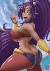 Rule 34 | 1girl, arabian clothes, ass, bare shoulders, blue eyes, breasts, butt crack, dark-skinned female, dark skin, fangs, female focus, from behind, highres, large breasts, long hair, looking at viewer, one eye closed, open mouth, pointy ears, ponytail, purple hair, shantae, shantae (series), shiny skin, sideboob, smile, solo, takilmar, very long hair, wink