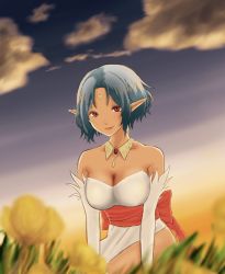 Rule 34 | 1girl, arm support, bad id, bad pixiv id, bare shoulders, blue hair, breasts, cleavage, cloud, dress, facial mark, female focus, filia (star ocean), filia (star ocean 2), flower, forehead mark, gem, grass, highres, jewelry, large breasts, lips, looking at viewer, neck, necklace, pointy ears, red eyes, red gemstone, shima (tukshimashima), short hair, sky, smile, solo, star ocean, star ocean the second story, strapless, strapless dress, white dress