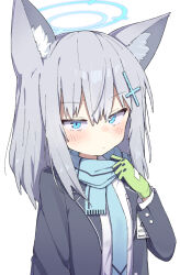 Rule 34 | 1girl, adjusting scarf, animal ear fluff, animal ears, black jacket, blazer, blue archive, blue eyes, blue halo, blue scarf, blush, closed mouth, commentary request, gloves, green gloves, grey hair, hair between eyes, hair ornament, halo, hand up, highres, jacket, lapels, long hair, long sleeves, looking at viewer, mismatched pupils, open clothes, open jacket, sakana tsuri, scarf, shiroko (blue archive), simple background, solo, upper body, white background