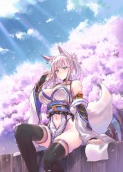 Rule 34 | 1girl, animal ears, bare shoulders, black gloves, black panties, black thighhighs, blue sash, blue sky, blush, breasts, bridal gauntlets, cherry blossoms, cleavage, closed mouth, clothing cutout, cloud, cloudy sky, commentary, day, detached collar, dress, earrings, elbow gloves, extra ears, flower, fox ears, fox girl, fox tail, gloves, green eyes, hair flower, hair ornament, hand in own hair, highres, japanese clothes, jewelry, knee up, large breasts, legs, light frown, long hair, looking at viewer, medium hair, navel, navel cutout, original, outdoors, panties, pelvic curtain, petals, ponytail, sash, sawaya (mizukazu), short dress, side-tie panties, sidelocks, silver hair, sitting, sky, solo, sunlight, tail, thighhighs, tree, underwear, white dress, white gloves