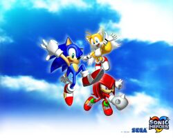 Rule 34 | 3boys, 3d, animal ears, blue eyes, blue fur, blue sky, bmp-to-png conversion, cloud, company name, copyright name, copyright notice, day, echidna (animal), fox boy, fox tail, full body, furry, furry male, gloves, green eyes, hedgehog, hedgehog boy, knuckles the echidna, male focus, multiple boys, multiple tails, no humans, official art, open mouth, purple eyes, red footwear, red fur, red shoes, sega, shoes, sky, sneakers, sonic (series), sonic heroes, sonic the hedgehog, tail, tails (sonic), two tails, white gloves