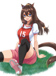 Rule 34 | 1girl, animal ears, black thighhighs, blue eyes, bow, brown hair, character name, commentary, domino mask, ear ribbon, el condor pasa (umamusume), grass, highres, horse ears, horse girl, horse tail, kemuri (etep3372), knee up, long hair, looking at viewer, low-tied long hair, mask, on ground, open mouth, pink footwear, pink shorts, ponytail, race bib, shirt, shoes, short sleeves, shorts, simple background, sitting, smile, sneakers, solo, t-shirt, tail, thighhighs, translated, umamusume, white background, white shirt