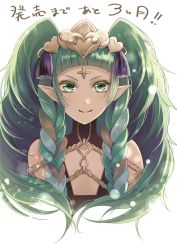 Rule 34 | 1girl, braid, closed mouth, fire emblem, fire emblem: three houses, green eyes, green hair, hair ornament, highres, long hair, multicolored hair, nintendo, pointy ears, side braid, simple background, smile, solo, sothis (fire emblem), tiara, twin braids, upper body, white background