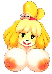 Rule 34 | 1girl, animal crossing, animal ears, bell, black eyes, blush stickers, breasts, buck teeth, collarbone, dog ears, dog girl, female focus, furry, furry female, hair bell, hair ornament, hair tie, happy, highres, isabelle (animal crossing), jingle bell, large breasts, mato spectoru, nintendo, nipples, nude, open mouth, short hair, simple background, smile, solo, teeth, topknot, upper body, white background