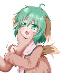 Rule 34 | 1girl, ahoge, animal ears, arm grab, brown dress, cheek squash, dress, drooling, fang, female focus, grabbing another&#039;s chin, green eyes, green hair, hand on another&#039;s chin, hand on another&#039;s face, kasodani kyouko, matching hair/eyes, oden (th-inaba), open mouth, saliva, short hair, solo focus, tail, touhou, trembling