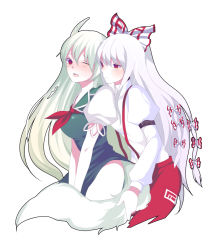 2girls ex-keine female_focus fujiwara_no_mokou harano kamishirasawa_keine multiple_girls tail tail_fondling touhou yuri