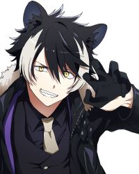 Rule 34 | 1boy, animal ears, black gloves, black hair, black shirt, black vest, claw pose, collared shirt, commentary request, fur trim, gloves, grin, highres, holostars, jackal ears, kageyama shien, long sleeves, looking at viewer, male focus, multicolored hair, necktie, purple scarf, scarf, sharp teeth, shirt, short hair, simple background, smile, solo, streaked hair, teeth, upper body, vest, virtual youtuber, white background, white hair, yellow eyes, yufu kyouko