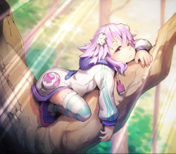 Rule 34 | 10s, 1girl, absurdres, awkward pose, bored, d-pad, day, female focus, full body, hair ornament, half-closed eyes, highres, hood, hoodie, in tree, neptune (neptunia), neptune (series), no pants, outdoors, purple eyes, purple hair, segamark, shoes, short hair, sleepy, solo, striped clothes, striped thighhighs, thighhighs, tree, usb