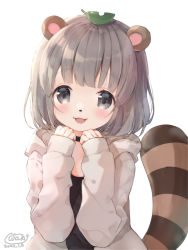 Rule 34 | 1girl, :d, animal ears, black choker, black shirt, choker, commentary request, dated, grey eyes, grey hair, hands up, highres, hood, hood down, hooded jacket, jacket, leaf, leaf on head, long sleeves, looking at viewer, mode aim, neki (wakiko), open mouth, ponpoko (vtuber), raccoon ears, raccoon girl, raccoon tail, shirt, signature, simple background, sleeves past wrists, smile, solo, striped tail, tail, upper body, virtual youtuber, white background, white jacket