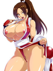 Rule 34 | 1girl, areola slip, breasts, brown hair, fatal fury, female pubic hair, huge breasts, ponytail, pubic hair, raburebo, shiranui mai, snk, solo, the king of fighters