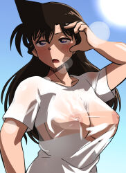 Rule 34 | 1girl, blue eyes, breasts, brown hair, covered erect nipples, female focus, large breasts, long hair, meitantei conan, mouri ran, nipples, open mouth, poron (pixiv id 17549041), tms entertainment