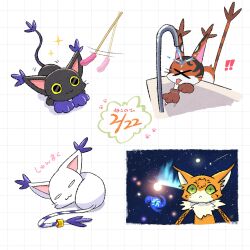 Rule 34 | animal ears, blacktailmon, cat, cat ears, digimon, digimon (creature), gloves, highres, holy ring, jewelry, meicoomon, mikemon, ring, tail, tailmon