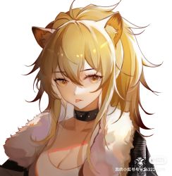 Rule 34 | 1girl, :p, animal ear fluff, animal ears, arknights, black choker, black jacket, blonde hair, breasts, brown eyes, choker, cleavage, collarbone, fur-trimmed jacket, fur trim, highres, jacket, large breasts, lion ears, long hair, open clothes, open jacket, ponytail, shenyuheimao, siege (arknights), simple background, solo, tongue, tongue out, upper body, white background