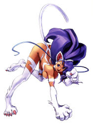 Rule 34 | 1girl, animal ears, animal hands, artist request, big hair, capcom, cat ears, claws, clenched hand, clenched hands, fangs, felicia (vampire), official art, solo, vampire (game)