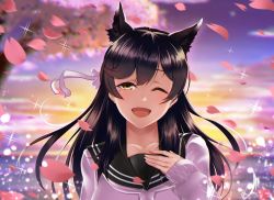 Rule 34 | 1girl, animal ears, atago (azur lane), atago (school traumerei) (azur lane), atago (school traumerei) (azur lane), azur lane, black hair, blurry, blurry background, blush, breasts, cherry blossoms, collarbone, extra ears, floating hair, half-closed eye, hand up, kagiyama (clave), large breasts, long hair, looking at viewer, mole, mole under eye, one eye closed, open mouth, outdoors, petals, ribbon, sailor collar, school uniform, serafuku, sidelocks, smile, solo, sparkle, sunrise, sweater, swept bangs, upper body, white ribbon, wind