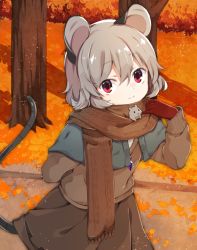 Rule 34 | 1girl, adapted costume, akagashi hagane, alternate costume, animal, animal ears, capelet, gloves, grey hair, jewelry, light particles, long sleeves, looking at viewer, mouse (animal), mouse ears, mouse tail, nature, nazrin, necklace, red eyes, red gloves, scarf, short hair, skirt, smile, solo, sweater vest, tail, touhou, tree
