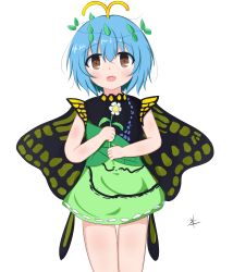 Rule 34 | 1girl, absurdres, antennae, aqua hair, bad id, bad pixiv id, brown eyes, butterfly wings, chaleu, dress, eternity larva, fairy, fang, flower, green dress, hair between eyes, highres, holding, holding flower, insect wings, leaf, leaf on head, multicolored clothes, multicolored dress, open mouth, short hair, short sleeves, signature, simple background, single strap, solo, third-party source, touhou, white background, white flower, wings