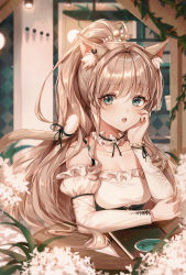 Rule 34 | 1girl, animal ear fluff, animal ears, argyle, bad id, bad pixiv id, bare shoulders, blue eyes, breasts, brown hair, cat ears, cat girl, ceiling light, choker, cleavage, collarbone, detached sleeves, earrings, fang, flower, frilled choker, frills, hair ornament, hand on own cheek, hand on own face, hand up, highres, jewelry, juliet sleeves, long hair, long sleeves, looking at viewer, medium breasts, open mouth, original, paper airplane, plant, ponytail, puffy sleeves, solo, table, ttosom, vines, white flower