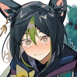 Rule 34 | 1boy, animal ear fluff, animal ears, black hair, blunt ends, blush, commentary, earrings, flower, fox boy, fox ears, fox tail, genshin impact, green eyes, green hair, green tail, hair between eyes, highres, hood, hoodie, jewelry, looking at viewer, male focus, multicolored hair, netsus3, short hair, simple background, single earring, solo, streaked hair, symbol-only commentary, tail, tail grab, tearing up, tighnari (genshin impact), wavy mouth, white background, yellow flower