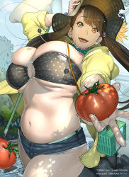 Rule 34 | 1girl, absurdres, arm up, bandeau, belly, breasts, brown eyes, brown hair, butterfly net, cleavage, cowboy shot, dated, denim, denim shorts, foreshortening, gundam, gundam build fighters, hand net, hat, highres, huge breasts, jewelry, kotoyoshi yumisuke, long hair, looking at viewer, navel, necklace, o-ring, o-ring top, open mouth, outdoors, plump, round teeth, sazaki kaoruko, short shorts, shorts, skindentation, sleeves rolled up, smile, solo, stuffed toy, teeth, thick thighs, thighs, tomato, tongue, twintails