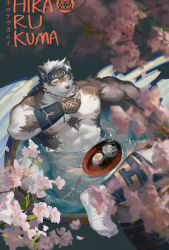 Rule 34 | 1boy, abs, absurdres, animal ears, bara, cherry blossoms, chest hair, convenient censoring, cup, daylightallure, furry, furry male, grey fur, grey hair, headband, highres, horkeu kamui, large pectorals, leg up, male focus, multicolored hair, muscular, muscular male, nipples, nude, pectorals, sakazuki, short hair, solo, tokyo houkago summoners, two-tone fur, wet, white fur, wolf boy, wolf ears, yellow eyes