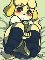 Rule 34 | 1girl, animal crossing, animal ears, artist name, bed sheet, between legs, black socks, blue skirt, blush, blush stickers, breasts, brown eyes, clenched hand, closed mouth, cory w, dog ears, dog girl, dog tail, embarrassed, female focus, furry, furry female, green panties, green vest, hand between legs, hand up, isabelle (animal crossing), kneehighs, legs up, looking away, looking to the side, lying, miniskirt, nintendo, nose blush, on back, panties, plaid, plaid vest, pleated skirt, shirt, short hair, short sleeves, signature, simple background, skirt, small breasts, socks, solo, source request, tail, topknot, underwear, upskirt, vest, wavy mouth, white shirt