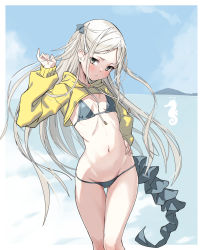 Rule 34 | 1girl, arm up, bikini, black bikini, blue sky, border, breasts, brown eyes, closed mouth, day, drawstring, feet out of frame, gluteal fold, groin, hair ornament, hairclip, hand on own hip, highres, long hair, long sleeves, looking at viewer, navel, ocean, original, outside border, outstretched arms, parted bangs, shrug (clothing), silver hair, sky, small breasts, solo, standing, stomach, swimsuit, tail, takanashi kei (hitsujikan), thigh gap, very long hair, water, white border