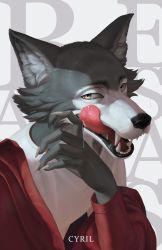 Rule 34 | 1boy, absurdres, artist name, beastars, copyright name, cyril (ssl-c), fangs, from above, from side, furry, furry male, grey background, hand up, highres, jacket, legoshi, licking lips, looking at viewer, male focus, off shoulder, open mouth, red jacket, saliva, sideways glance, solo, tongue, tongue out, upper body, wiping mouth, wolf boy, yellow eyes