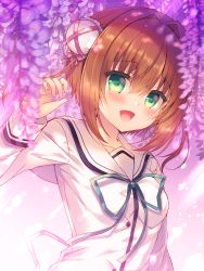 Rule 34 | 1girl, :d, asakura yume, blue ribbon, blurry, blurry background, blurry foreground, breasts, brown hair, bun cover, commentary request, da capo, da capo ii, depth of field, double bun, flower, green eyes, hair between eyes, hair bun, hair intakes, hand up, highres, long sleeves, looking at viewer, neck ribbon, open mouth, purple flower, ribbon, sailor collar, school uniform, serafuku, shirt, small breasts, smile, solo, suzunone rena, upper body, white sailor collar, white shirt, wisteria