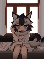 Rule 34 | 10s, 1girl, :d, ahoge, animal ears, black hair, blue eyes, commentary request, cup, curtains, drawing, fangs, flower, grey wolf (kemono friends), heterochromia, highres, indoors, kemono friends, looking at viewer, multicolored hair, onaji (sokudo seigen), open mouth, oversized clothes, shirt, short hair, sitting, smile, solo, tail, two-tone hair, white background, white shirt, window, wolf ears, wolf tail, yellow eyes, aged down