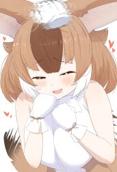 Rule 34 | 1girl, animal ears, bare shoulders, blush, bow, bowtie, brown eyes, brown hair, brown shirt, dhole (kemono friends), disembodied hand, dog ears, dog girl, dog tail, gakukuru, gloves, hair between eyes, headpat, heart, highres, kemono friends, light brown hair, multicolored hair, open mouth, shirt, short hair, sidelocks, sleeveless, smile, solo, tail, tail wagging, two-tone shirt, white bow, white bowtie, white gloves, white hair, white shirt