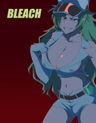 Rule 34 | 1girl, absurdres, bleach, bleach: sennen kessen-hen, breasts, candice catnipp, green hair, highres, large breasts, red background, solo
