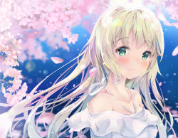 Rule 34 | 1girl, bare shoulders, blonde hair, blue background, blush, cherry blossoms, closed mouth, collarbone, gradient background, halterneck, lens flare, lips, long hair, looking at viewer, looking to the side, off-shoulder shirt, off shoulder, original, petals, plaid, ribbon, shirt, smile, solo, spring (season), suihi, tareme, upper body, white ribbon, white shirt