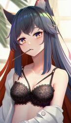Rule 34 | 1girl, animal ear fluff, animal ears, arknights, bare shoulders, black bra, black hair, blush, bra, breasts, bright pupils, cleavage, closed mouth, colored inner hair, female focus, food, food in mouth, kaleid, lace, lace-trimmed bra, lace trim, looking at viewer, mouth hold, multicolored hair, off shoulder, open clothes, open shirt, orange eyes, pocky, red hair, shirt, sidelocks, single bare shoulder, small breasts, solo, texas (arknights), two-tone hair, underwear, upper body, vabgs, white shirt, wolf ears
