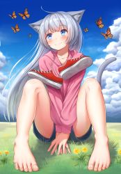 Rule 34 | 1girl, animal ears, bare legs, barefoot, blue eyes, blue sky, bug, butterfly, cat ears, cat tail, collarbone, day, feet, flower, full body, highres, hood, bug, long hair, long sleeves, on grass, original, outdoors, red footwear, shoes, unworn shoes, short shorts, shorts, silver hair, sitting, sky, smile, solo, superpig, tail, toes, v arms, yellow flower