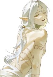 Rule 34 | 1boy, arm tattoo, back tattoo, dungeon meshi, elf, gorget, grey hair, hair around ear, hair tubes, highres, long hair, looking at viewer, low twintails, lycion, male focus, notched ear, pointy ears, rain (neporain), smile, solo, tattoo, topless male, twintails