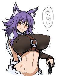 Rule 34 | 1girl, animal ear fluff, animal ears, arms behind back, breasts, closed mouth, covered erect nipples, criss-cross halter, fang, fur-trimmed shorts, fur trim, halterneck, henriiku (ahemaru), large breasts, long hair, looking at viewer, makoto (princess connect!), midriff, navel, princess connect!, purple hair, shorts, smile, solo, standing, stomach, wolf ears, wolf girl, yellow eyes