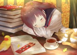 Rule 34 | 1girl, 7 calpis 7, animal, autumn, bird, black sailor collar, blurry, blurry background, blush, book, book stack, bookmark, brand name imitation, brown hair, cat, closed eyes, commentary request, cup, depth of field, drooling, food, highres, long hair, long sleeves, open book, original, parted lips, pocky, red neckwear, sailor collar, saliva, saucer, school uniform, serafuku, shirt, solo, table, tea, teacup, tree, white shirt