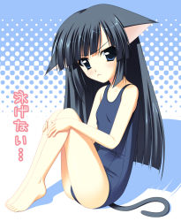 Rule 34 | 1girl, :&lt;, animal ears, barefoot, cat ears, cat tail, feet, flat chest, gaou (babel), one-piece swimsuit, school swimsuit, solo, swimsuit, tail