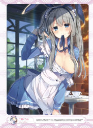 Rule 34 | 1girl, animal ears, apron, artist name, black pantyhose, blue eyes, blue ribbon, blue shirt, blue skirt, blurry, blush, breasts, breasts apart, breasts out, brick wall, closed mouth, collarbone, collared shirt, cup, depth of field, fake animal ears, frilled apron, frills, grey hair, hair censor, hair over breasts, hand in own hair, highres, jpeg artifacts, leaning forward, long sleeves, looking at viewer, medium breasts, mishima kurone, mouth hold, one breast out, open clothes, open shirt, original, pantyhose, rabbit ears, ribbon, saucer, shirt, sidelocks, silhouette, skirt, smile, solo, standing, strap slip, table, teacup, twintails, waitress, window, wing collar