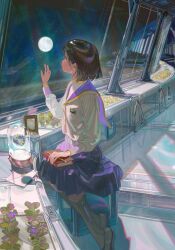 1girl badge bell_jar book book_on_lap breast_pocket earth_(planet) envelope globe hand_on_window highres indoors jacket kneehighs looking_afar looking_outside looking_to_the_side original pencil picture_frame planet plant planter pleated_skirt pocket purple_skirt reflection sailor_collar science_fiction sitting sitting_on_object skirt sky socks solo space star_(sky) starry_sky tamomoko wax_seal white_jacket window wooden_pencil